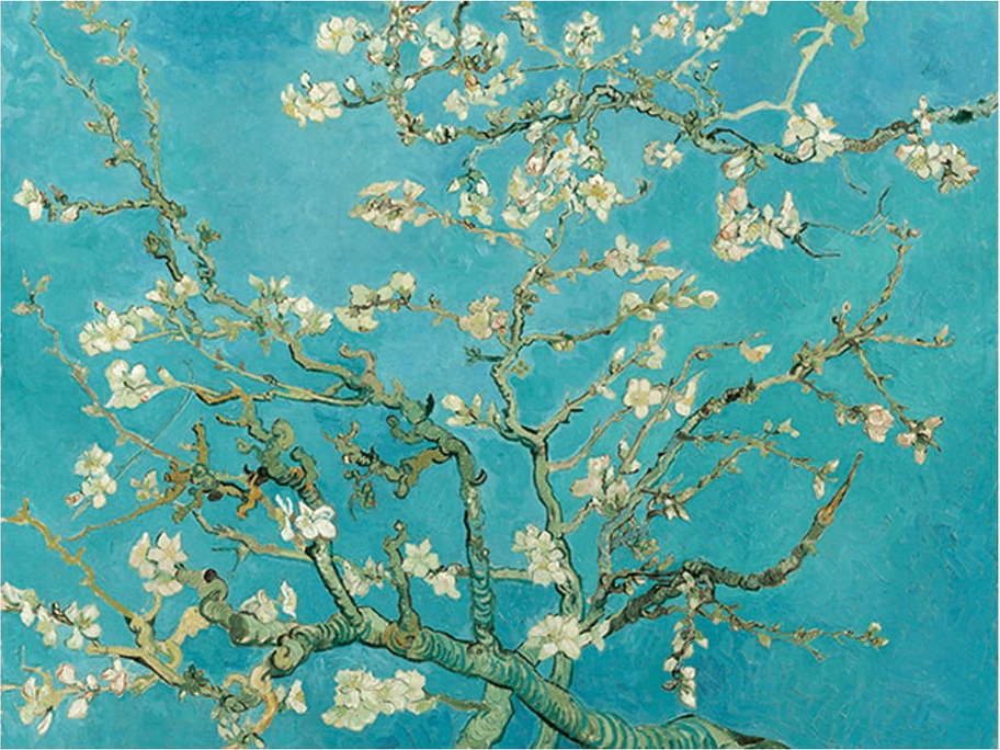 Reprodukce obrazu Vincenta van Gogha - Almond