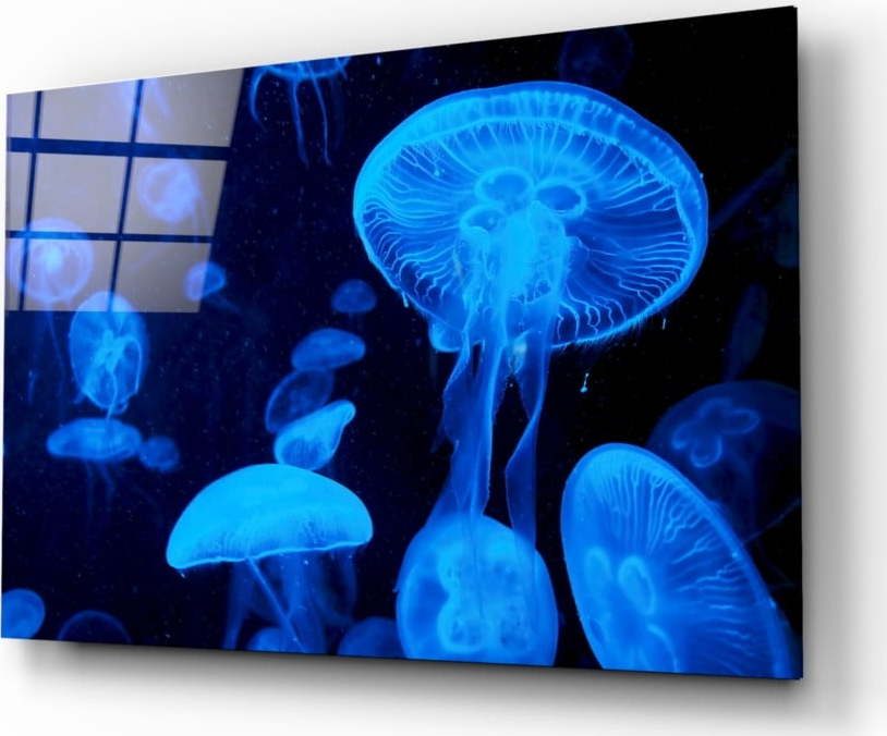 84Skleněný obraz Insigne Jellyfish