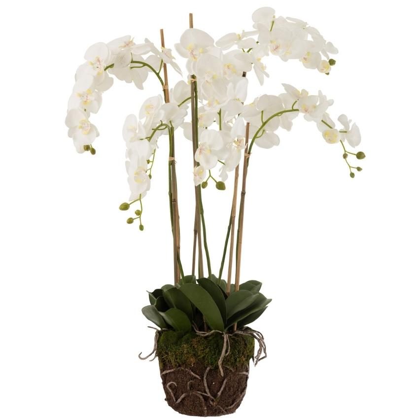 Umělá květina J-Line Maryath Orchid